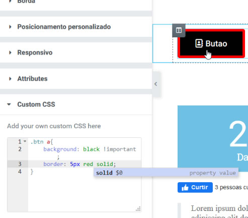 CSS Customizado no Elementor