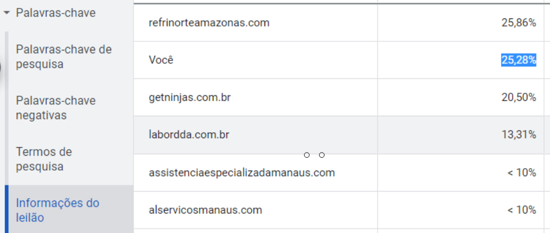 Informações do Leilão - Google Ads